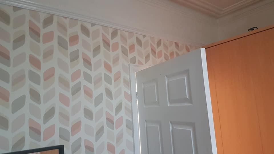 Coverall Painters and Decorators · Photos 15
